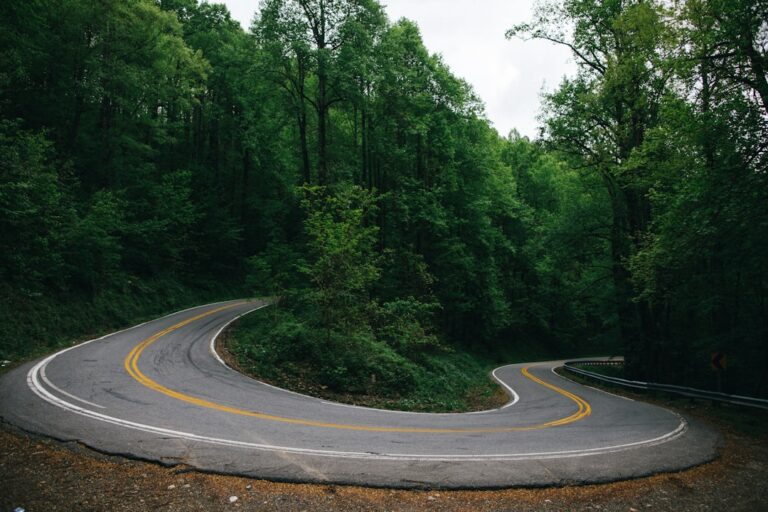 Balkans road trip — winding mountain road