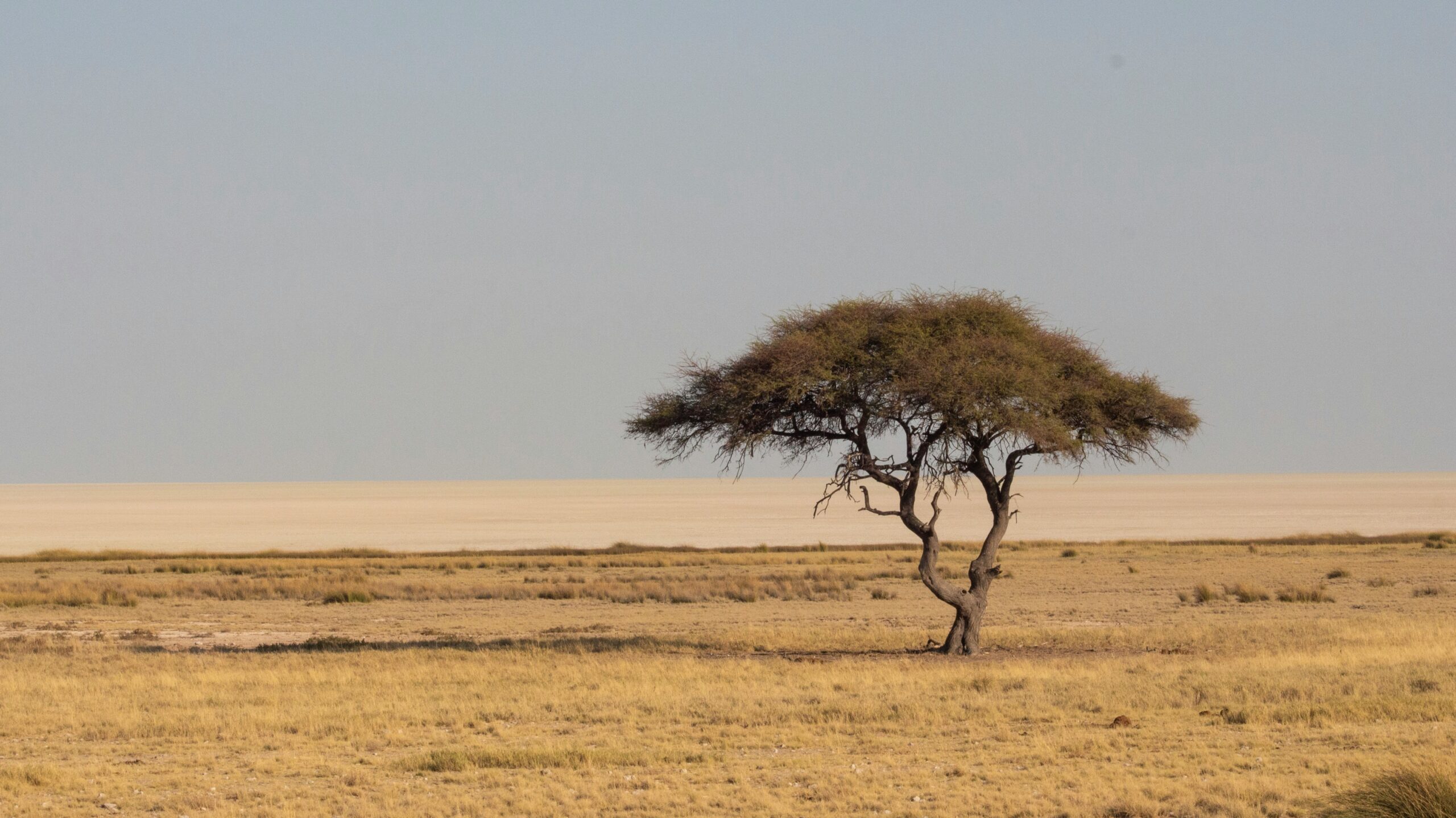 Burkina Faso — Sahel savanna