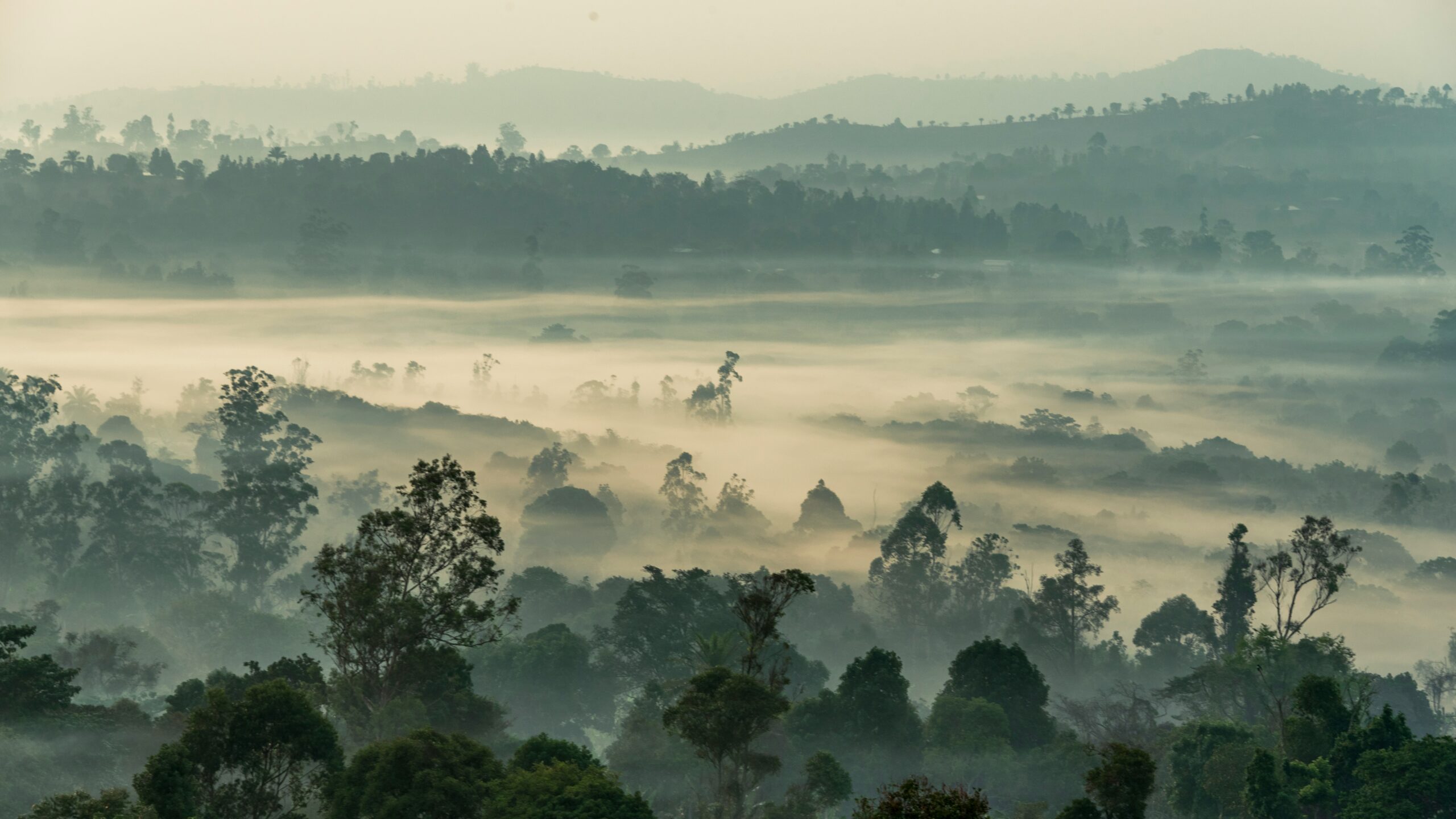 Cameroon — western highlands