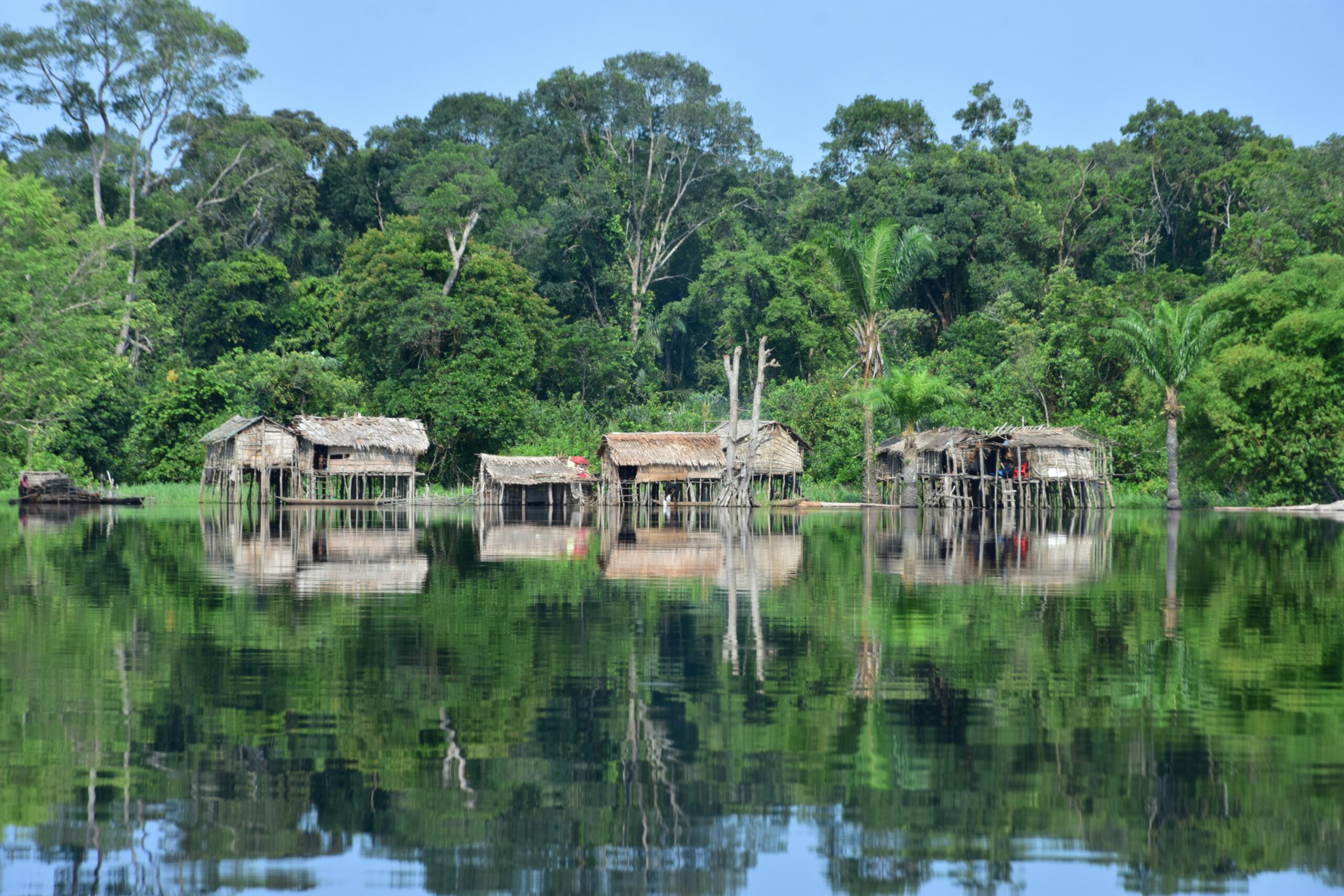 Congo — river and rainforest