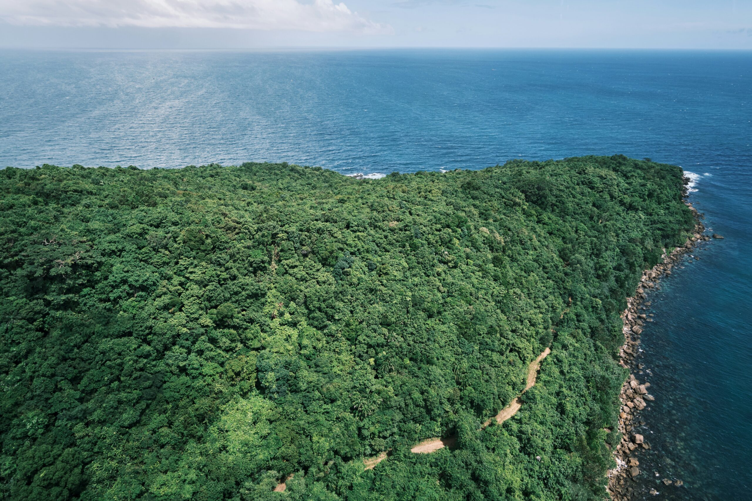 French Guiana — jungle coast