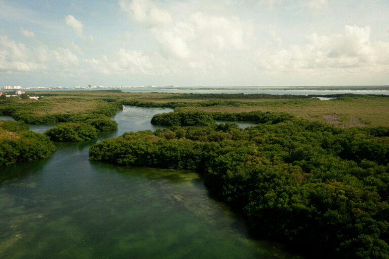 Guinea-Bissau — Bijagos mangroves