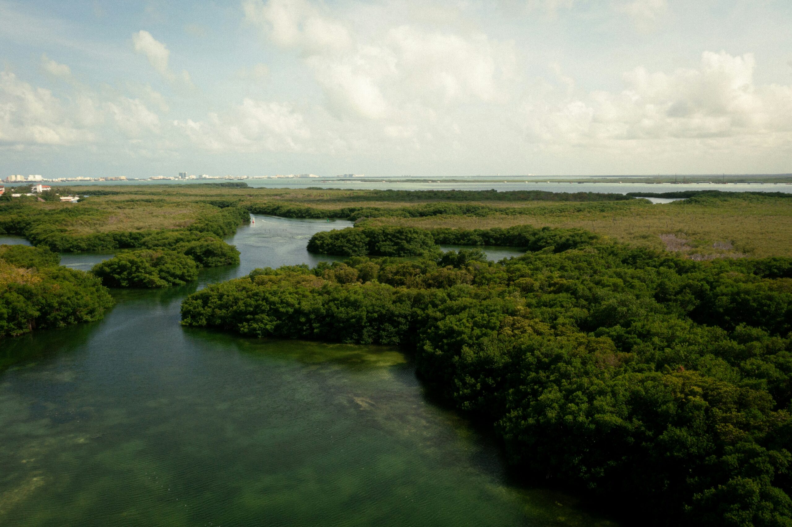Guinea-Bissau — Bijagos mangroves