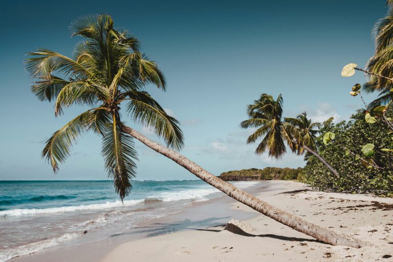 Liberia — Atlantic coast