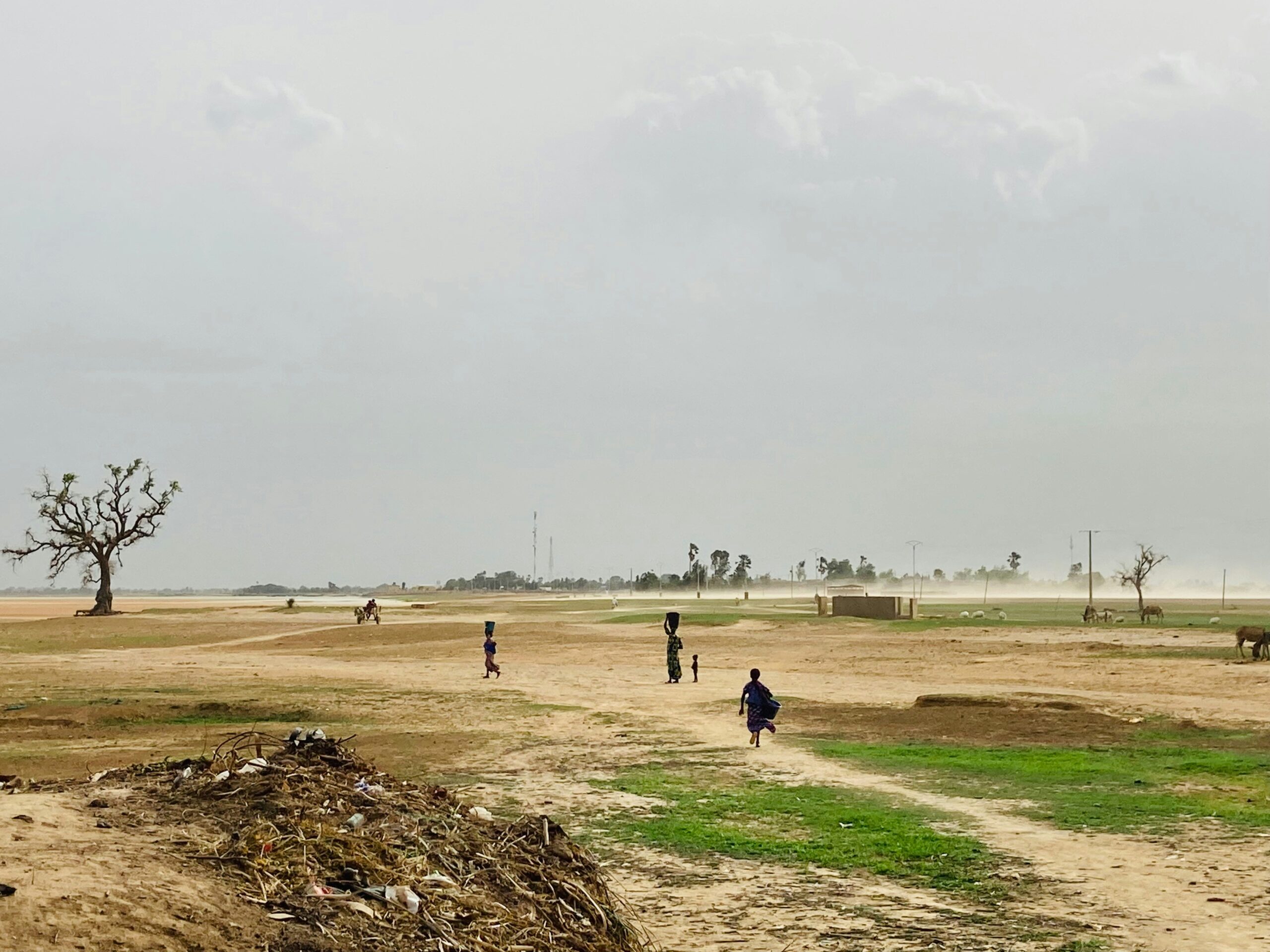 Mali — Mopti region, Sahel