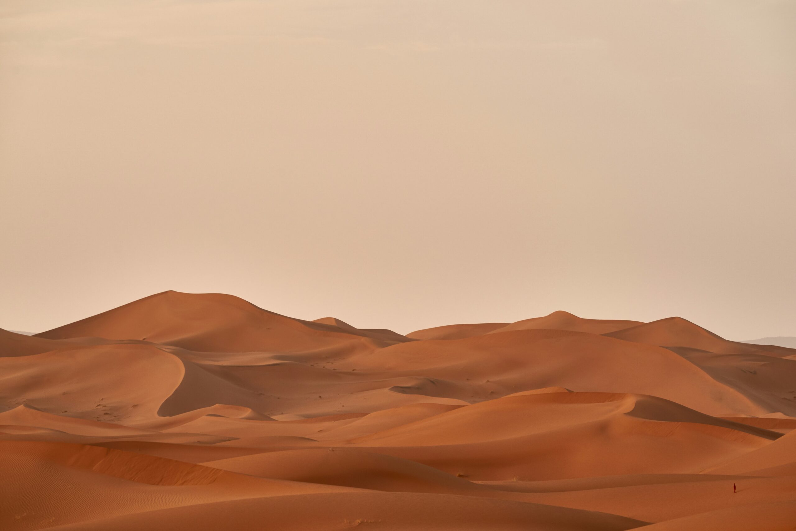 Mauritania — Sahara dunes