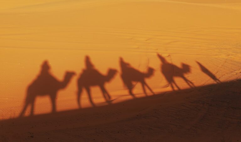 Middle East bundle — desert caravan