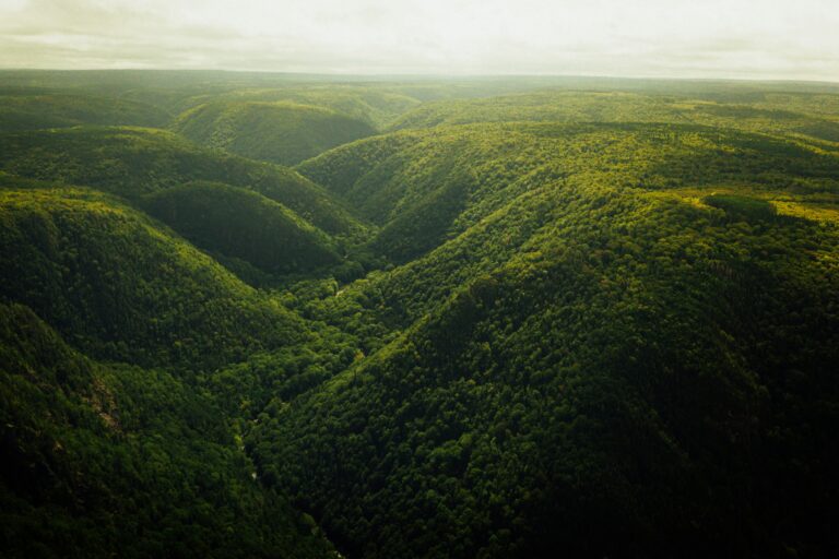 Paraguay — green river valley