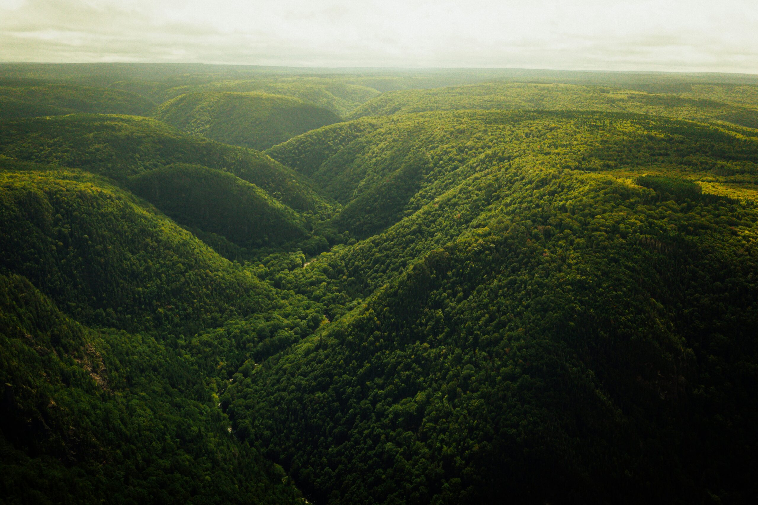 Paraguay — green river valley