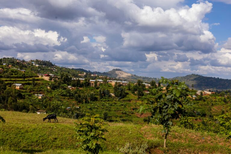 Rwanda — land of a thousand hills