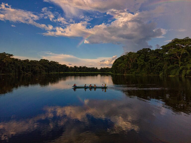 Suriname — jungle river