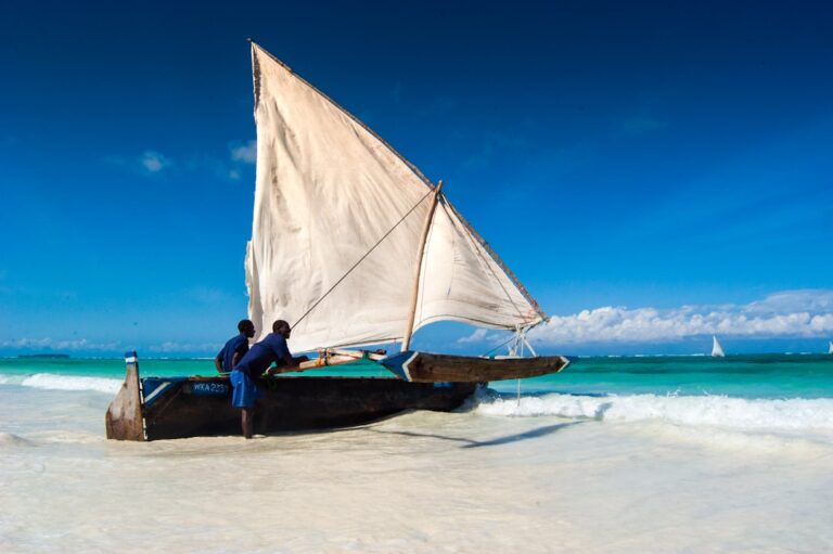 Tanzania — Zanzibar beach