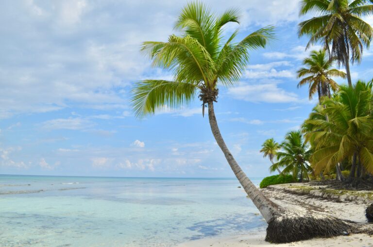 Tonga — Pacific coastline