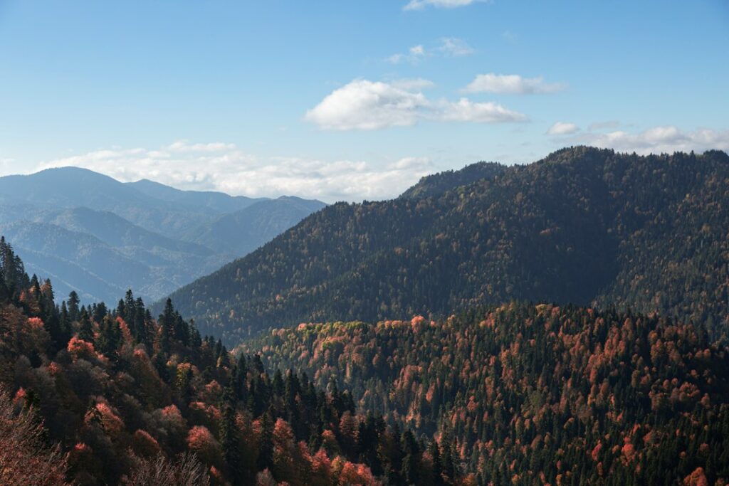 Turkey — autumn mountains and forests